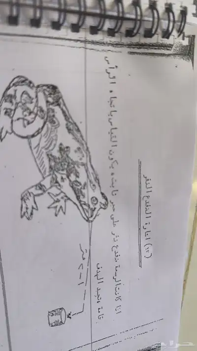 سكاكا الجوف 21