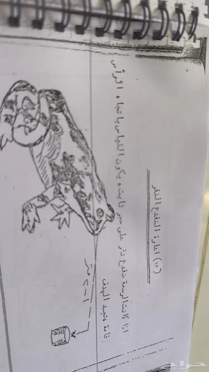 سكاكا الجوف 21