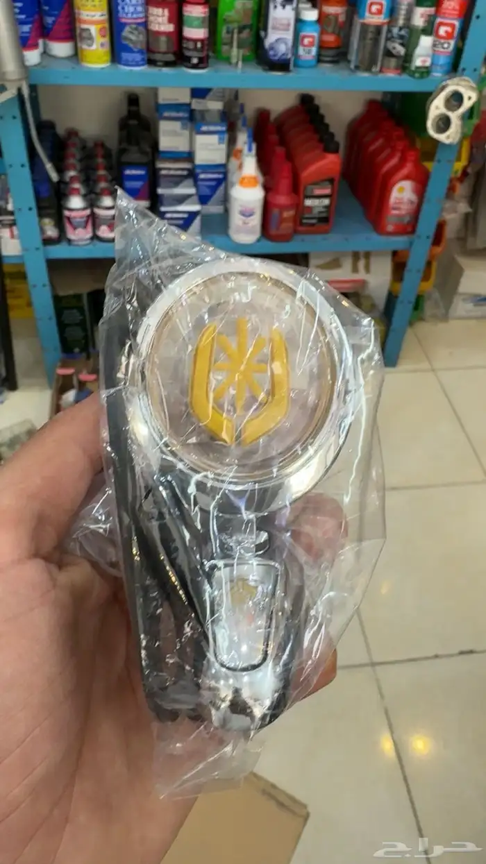 تمثال كرسيدا و هايلكس وددسن 1