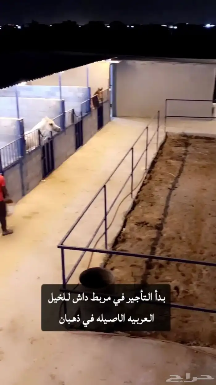 اسطبل ومربط داش (لإيواء الخيل والرحلات البريه والبحريه) 0