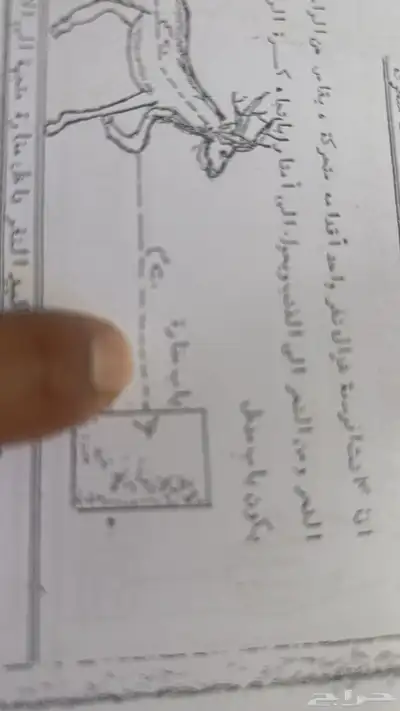 سكاكا الجوف 23