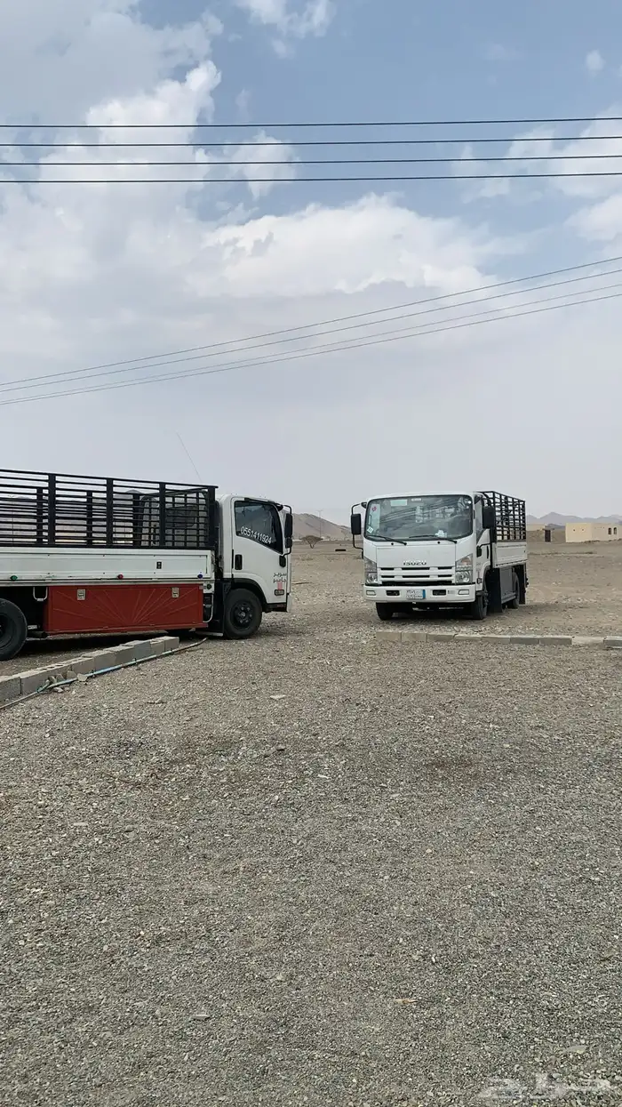 دينه المدينة وضواحيها 0
