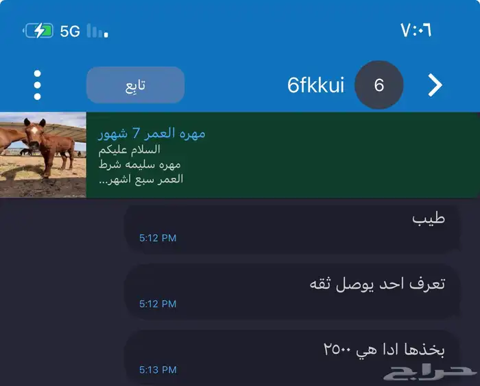 مهره العمر 7 شهور 6