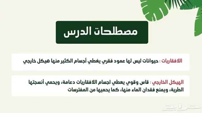 بحوث 3