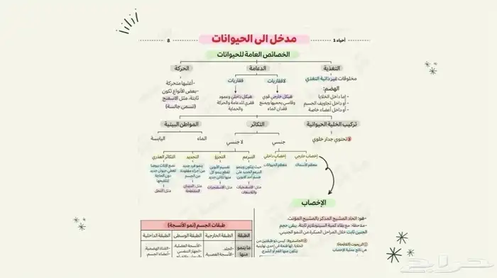 بحوث 2