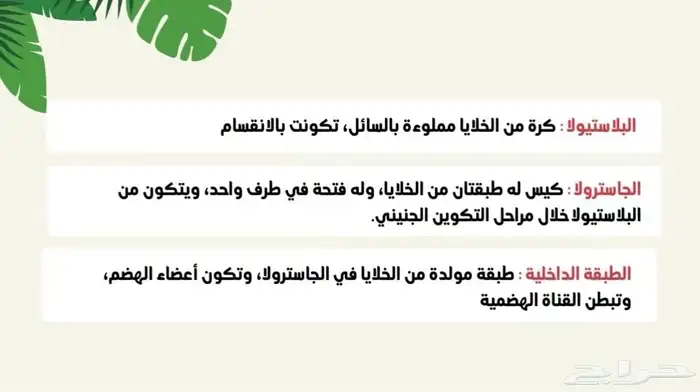 بحوث 4