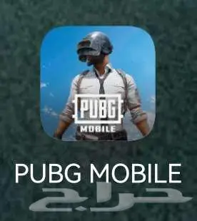 اسماء بوبجي 0