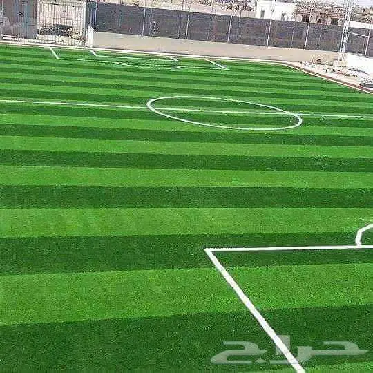 ثيل طبيعي ياباني انتورو فرنسي c2000 أمريكي تجهيزوإنشاء ملاعب 10