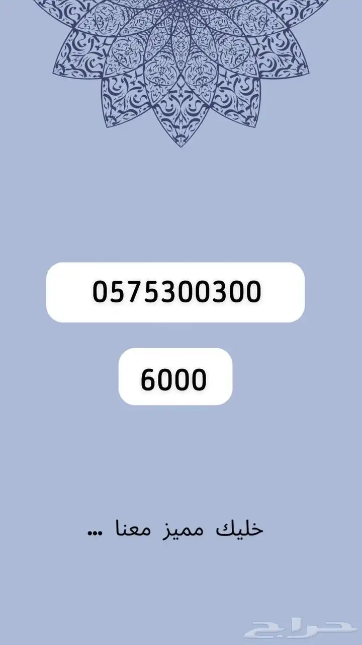 رقم مميز 24