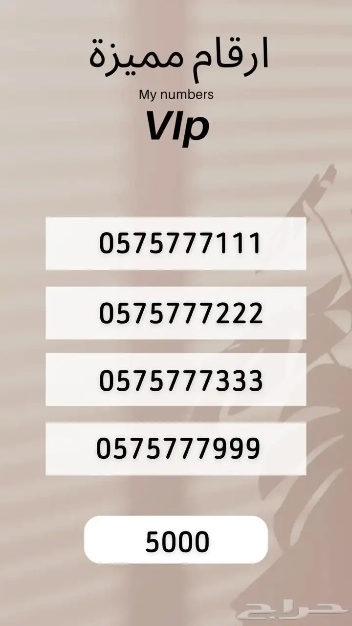رقم مميز 6