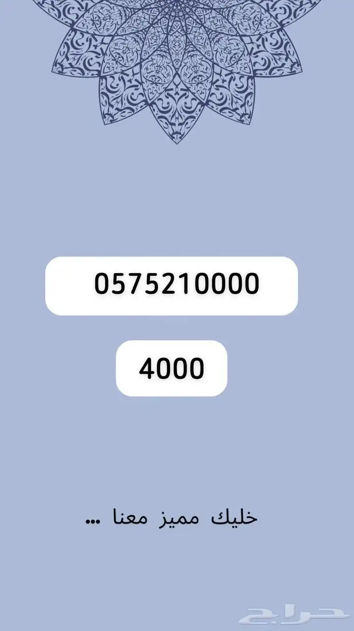 رقم مميز 29