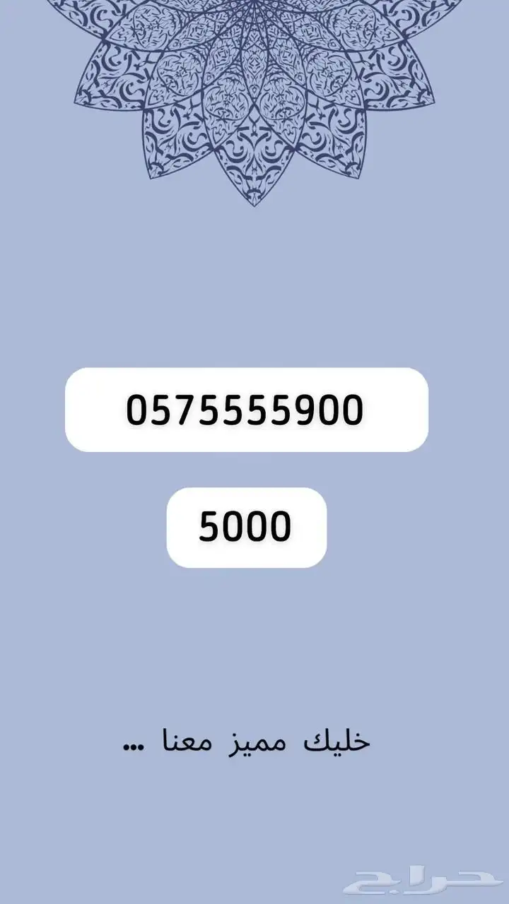 رقم مميز 26