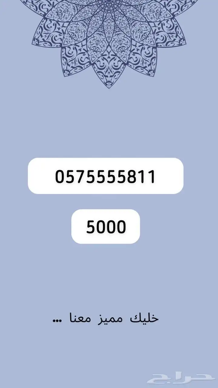 رقم مميز 19