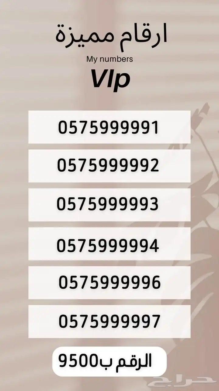رقم مميز 12