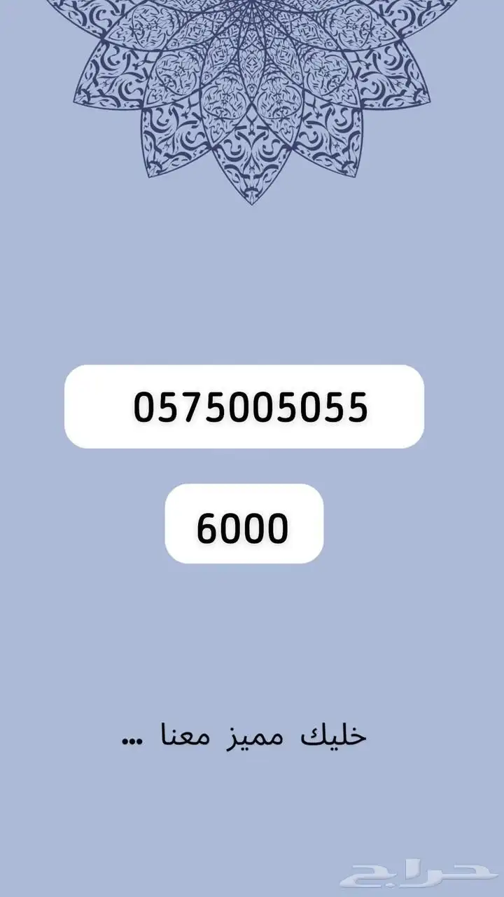 رقم مميز 21