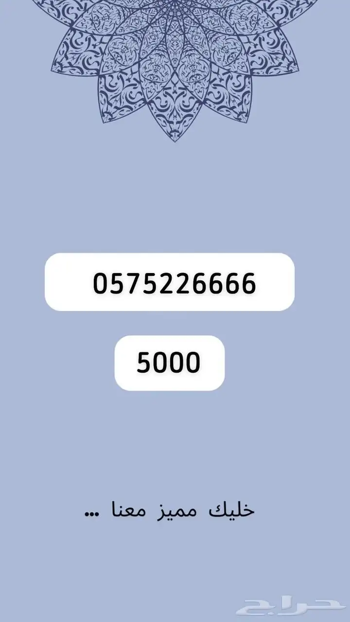 رقم مميز 33