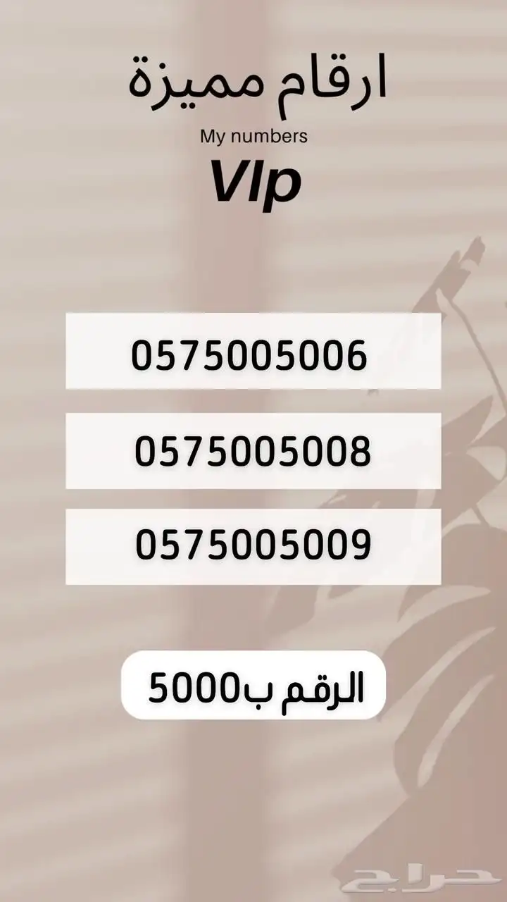 رقم مميز 11