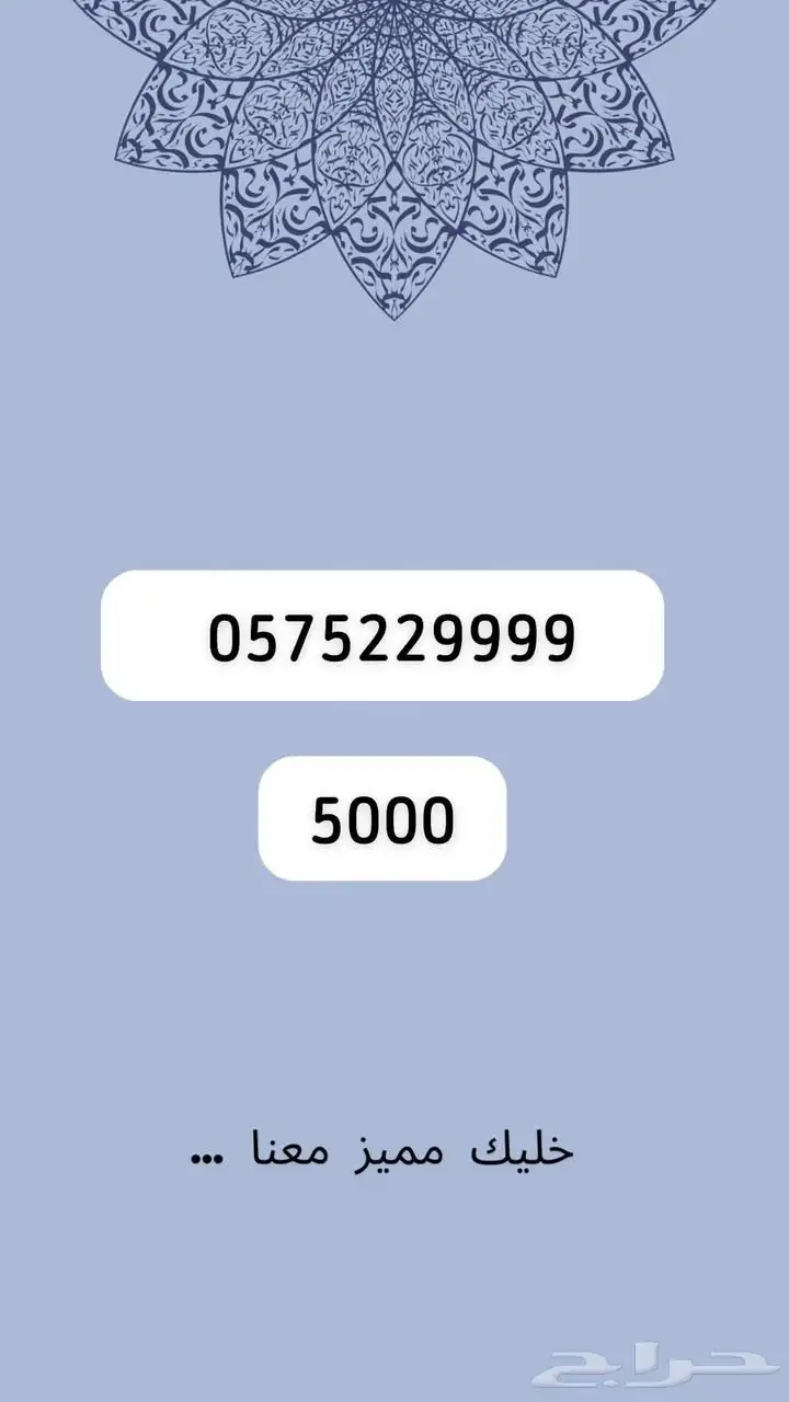 رقم مميز 31