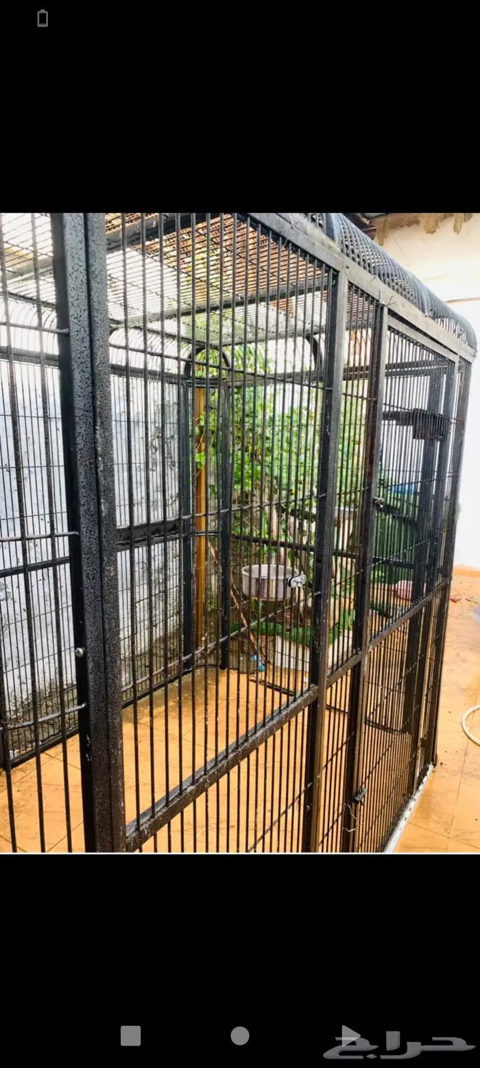 قفص حديدي مجفلن 0