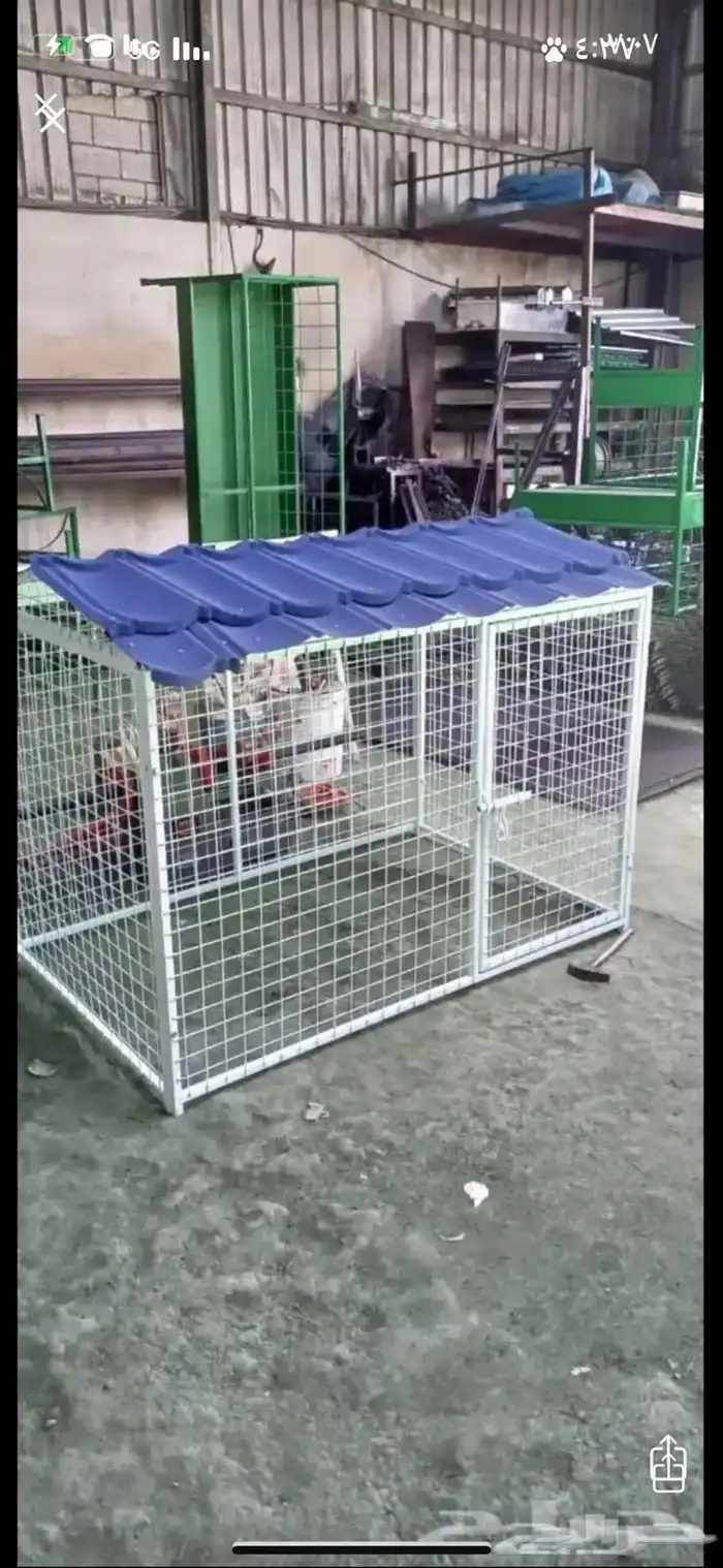 شبك طيور 4