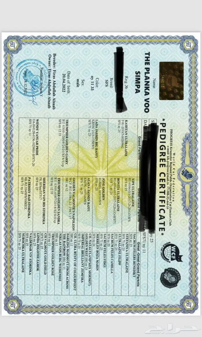 للتزاوج سكوتش بيور مسجل 0