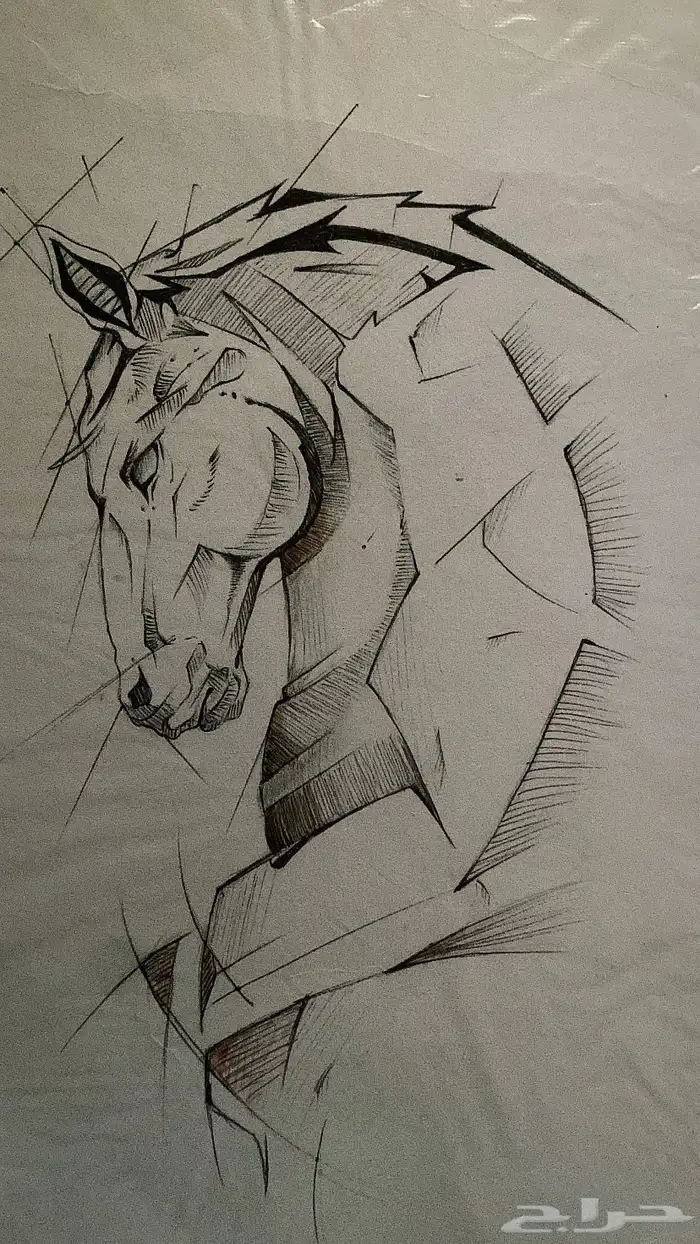 رسمات محدوده للبيع 4
