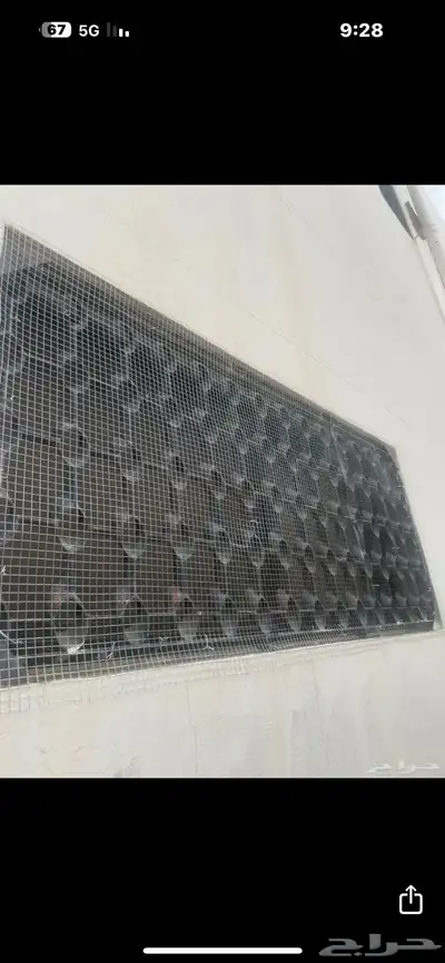 طارد الحمام والطيور من المنازل 3