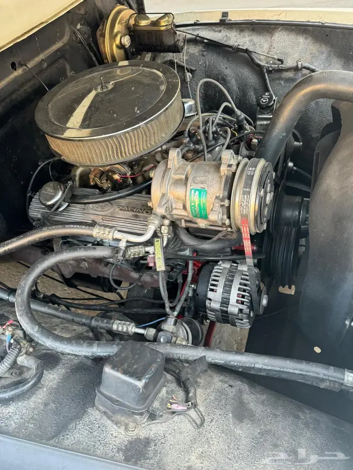 للبيع ونيت فورد كلاسيك F100 موديل 1955  - 20