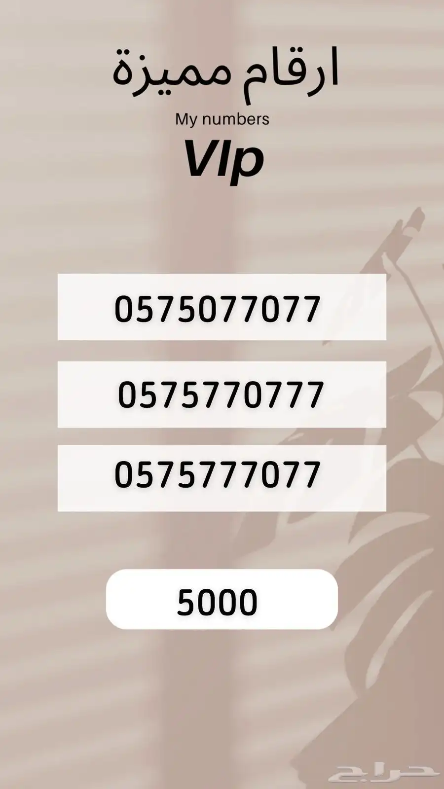 رقم مميز 2