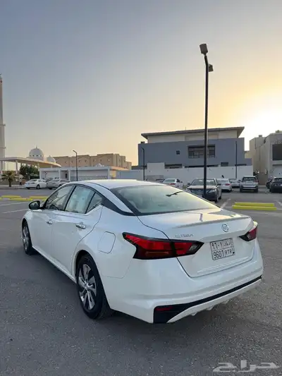 التيما 2019 استاندر 18