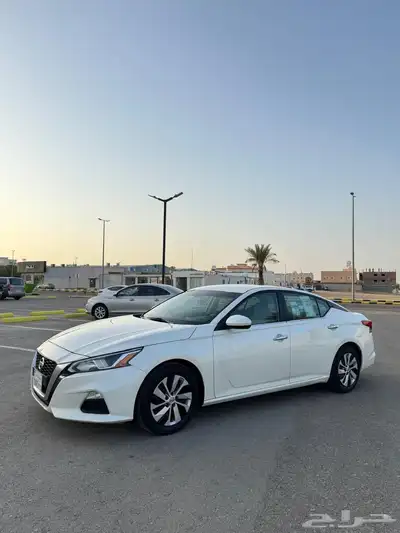 التيما 2019 استاندر 2