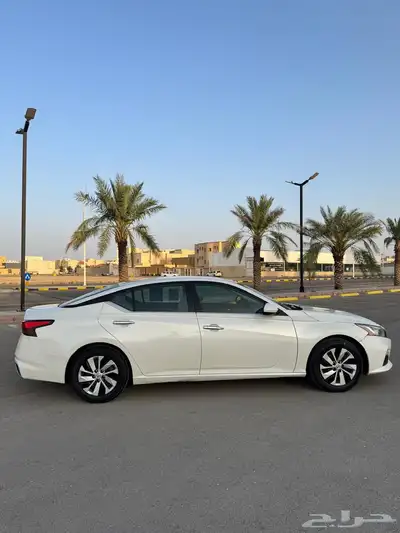 التيما 2019 استاندر 11