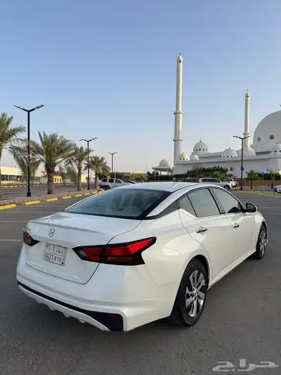 التيما 2019 استاندر 14
