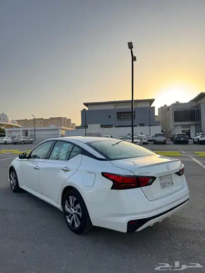 التيما 2019 استاندر 17