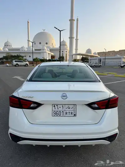 التيما 2019 استاندر 15