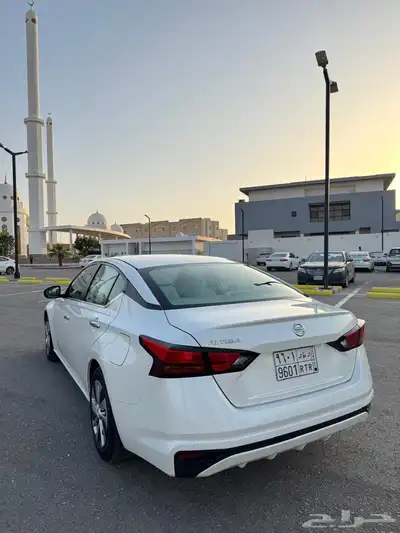 التيما 2019 استاندر 19