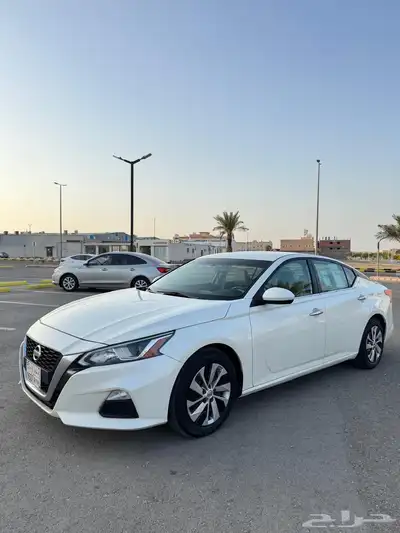 التيما 2019 استاندر 0