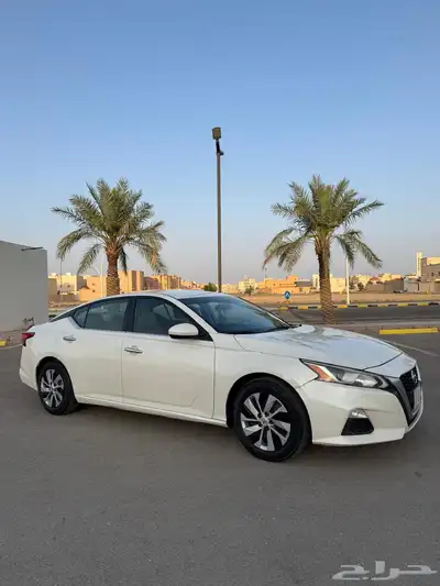 التيما 2019 استاندر 10