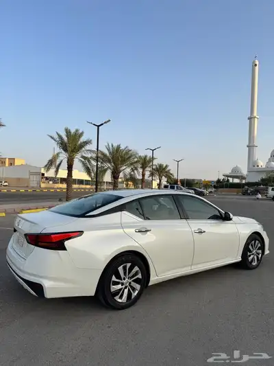 التيما 2019 استاندر 12