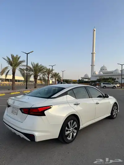 التيما 2019 استاندر 13