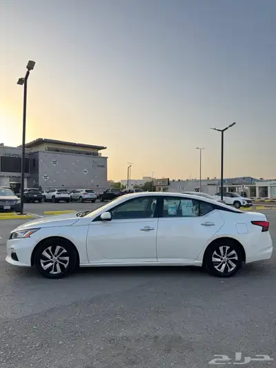 التيما 2019 استاندر 20