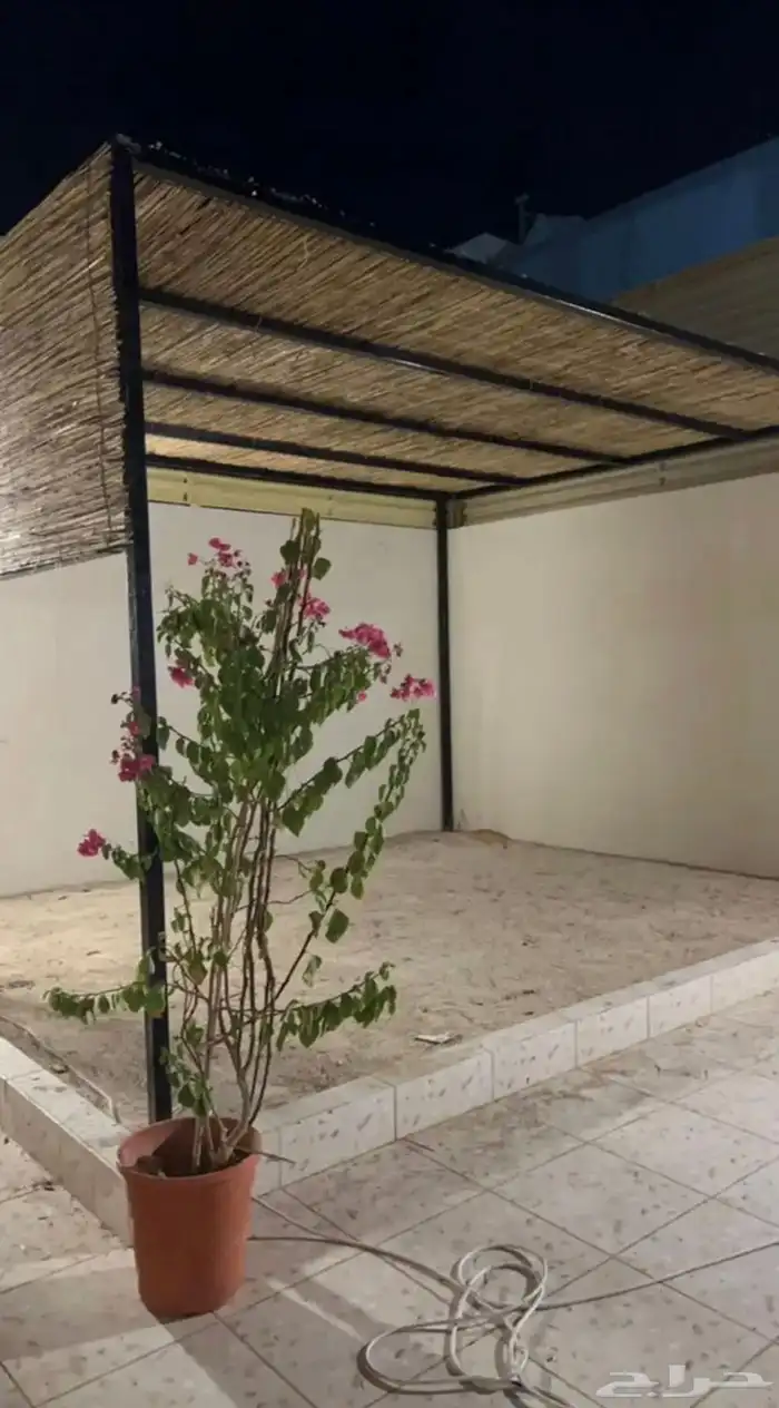 مظلات خشب وخيزران 12