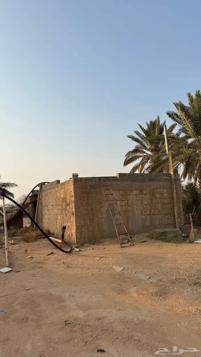مزرعه للايجار في ضرما 8