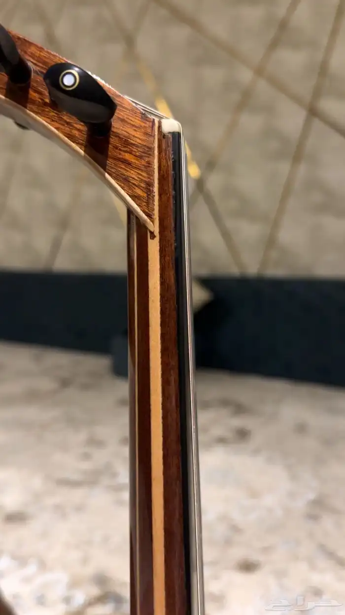 عود زرياب 0