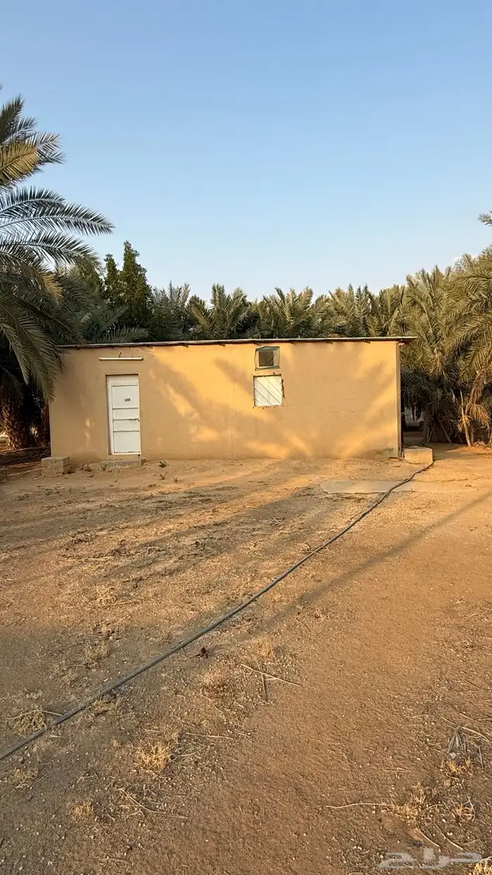 مزرعه للايجار في ضرما 7