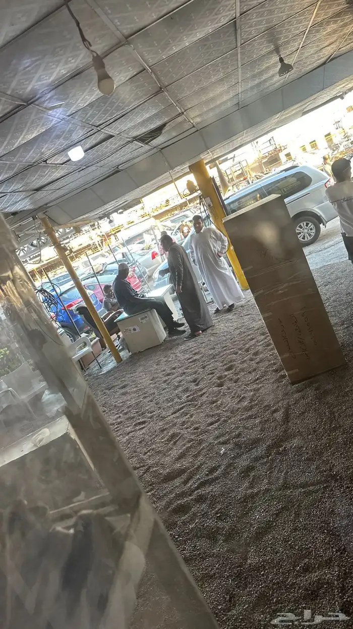 مندوب تشليح لي تبيه تبشر 2