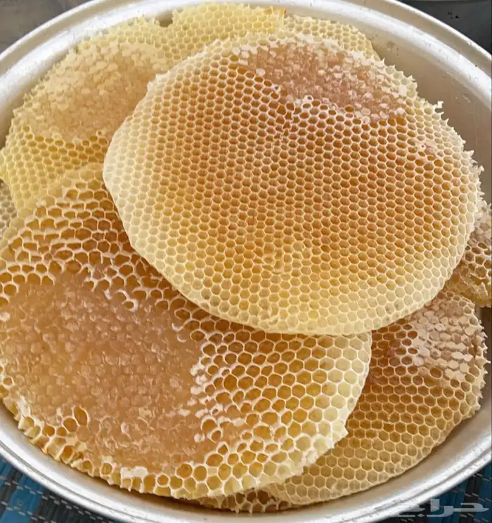 مناحل جبلية 6