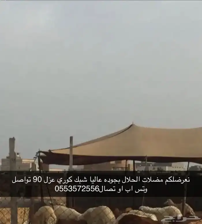 مضلات 12