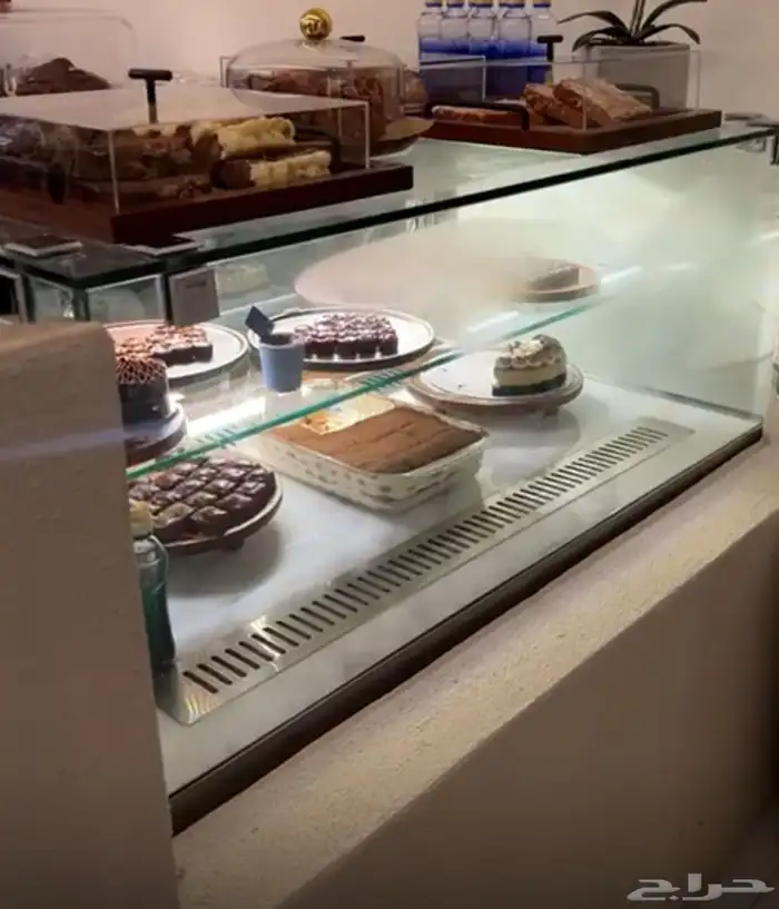 ثلاجة عرض 3