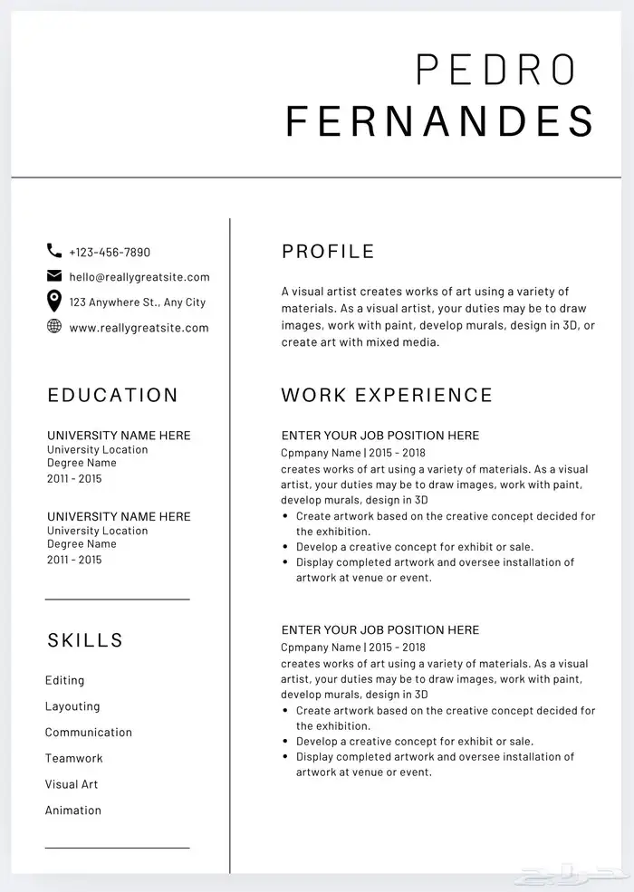 تصميم سيرة ذاتية احترافية 4